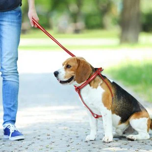Pas za meke i vodootporne pasove za sve vrste veličine